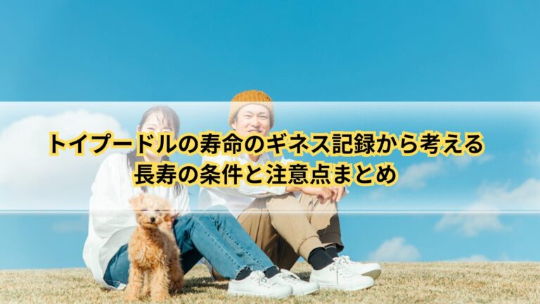 トイプードル 寿命　ギネス