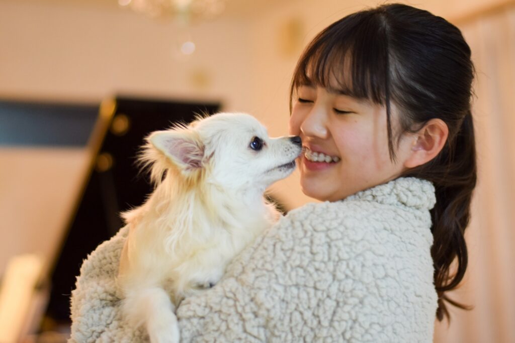 チワワ ハイオン