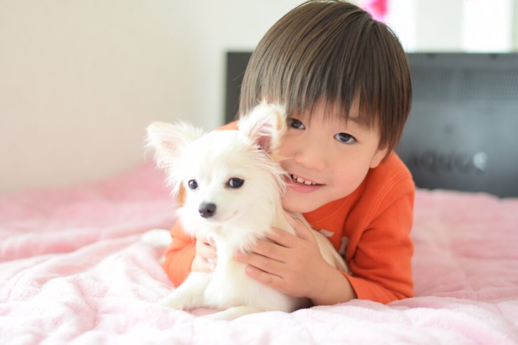 チワワ　平均寿命