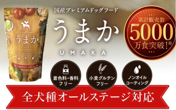 トイプードル 関節 ドッグフード