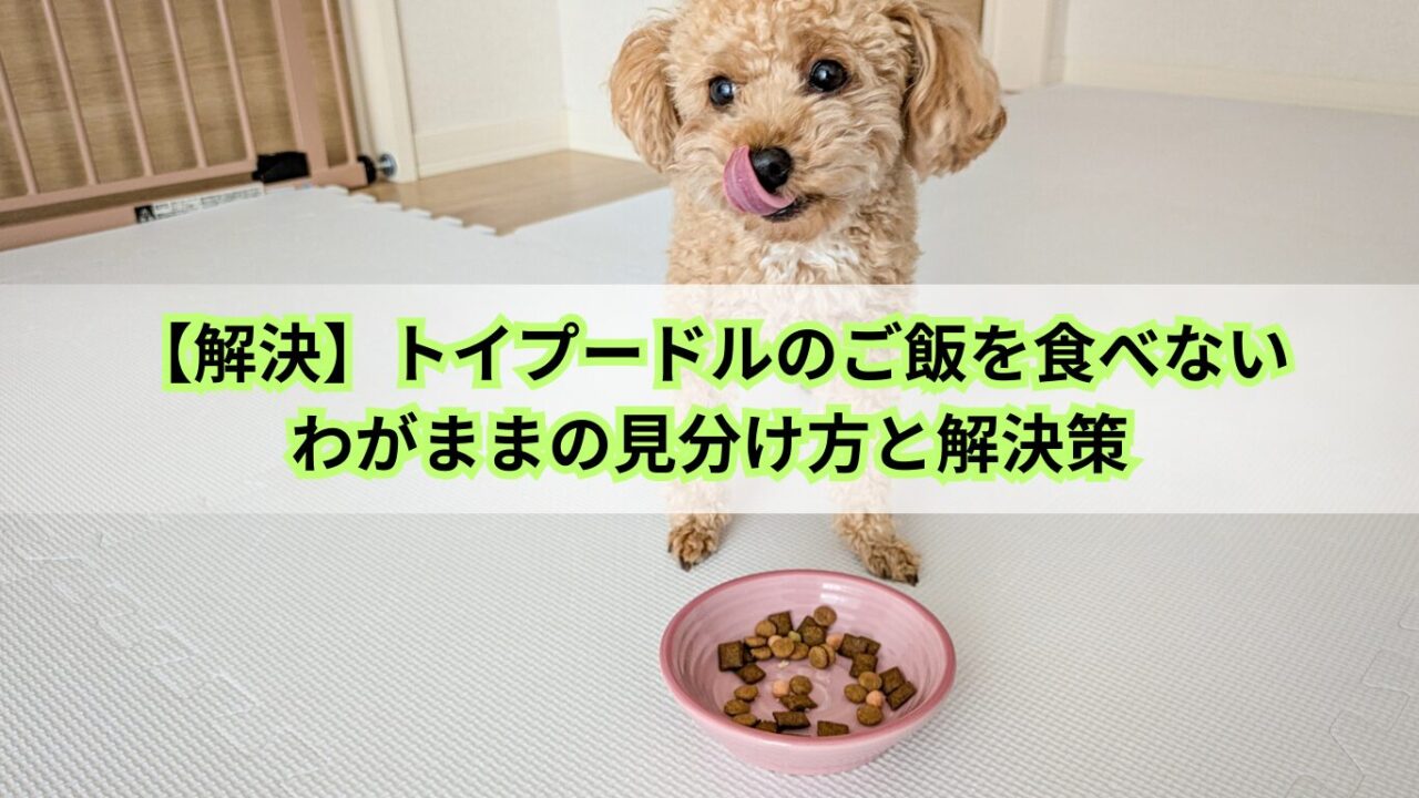 トイプードル ご飯 食べない わがまま