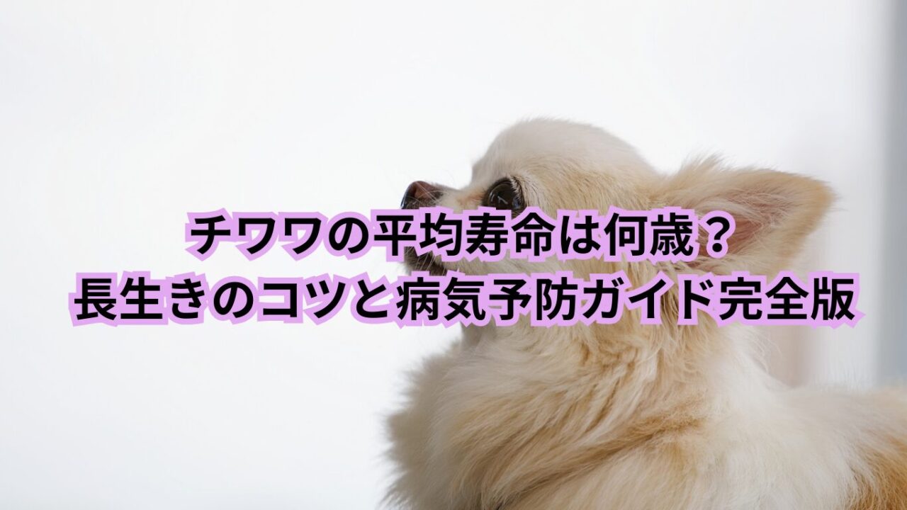 チワワ　平均寿命