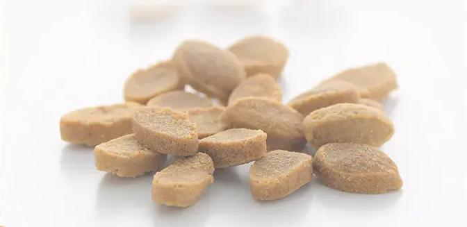 ドッグフード　うまか　半額