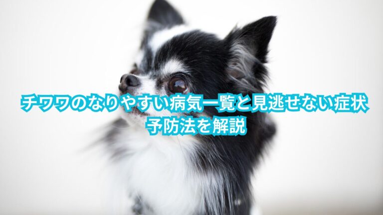 チワワ　なりやすい病気
