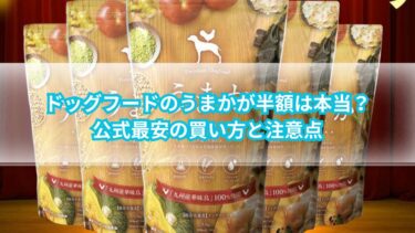 ドッグフードのうまかが半額は本当？公式最安の買い方と注意点