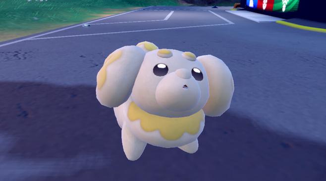 ポメラニアン　ポケモン