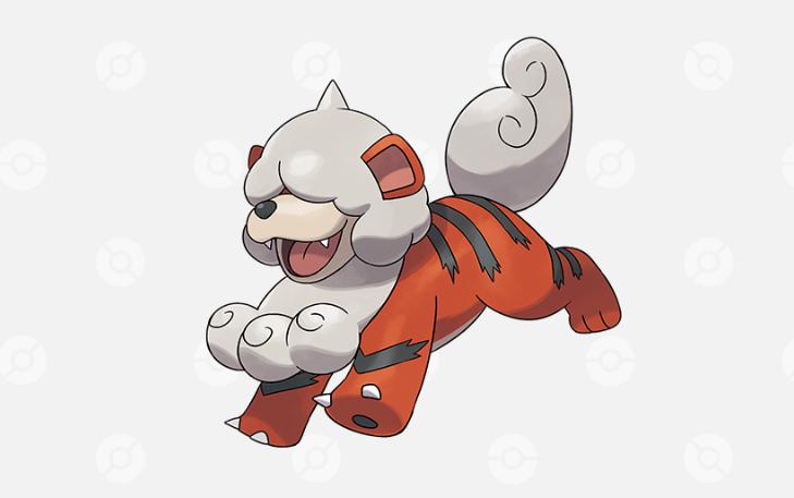 ポメラニアン　ポケモン