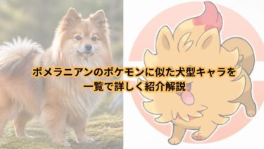 ポメラニアンのポケモンに似た犬型キャラを一覧で詳しく紹介解説