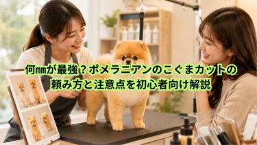 何㎜が最強？ポメラニアンのこぐまカットの頼み方と注意点を初心者向け解説